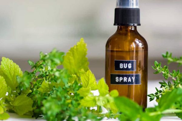 how do i mix terrashield up for bug spray?